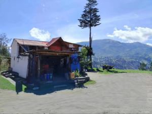 SigchosStarlight Mountain Lodge的树上小山顶上的房子