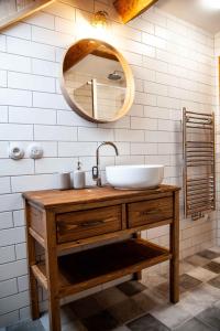 a bathroom with a sink and a mirror at Apartmány Temechov in Želiv +86 photos