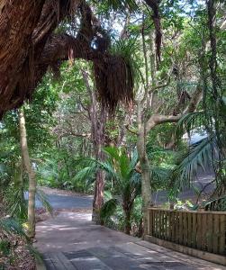 Příroda nedaleko prázdninového domu + 51 fotografií