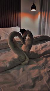 two swans are forming a heart on a bed at شاليهات سمو بارك in Taif +9 photos