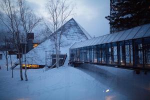 Το 星野度假村Village Alpha Tomamu复式公寓套房 τον χειμώνα