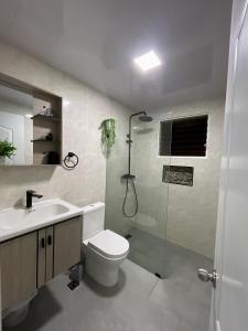 une salle de bains avec douche, toilettes et lavabo dans l'établissement Cerca del aeropuerto los frailes I, à Los Frailes