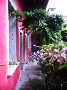 a pink building with flowers on the side of it at Glicine in Miasino