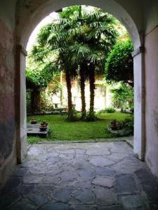 an archway leading to a yard with a palm tree at Wohnung Caprifoglio In Miasino in Miasino