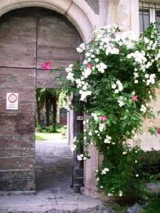 a bush of flowers on the side of a building at Wohnung Caprifoglio In Miasino in Miasino