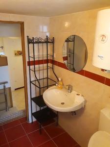 a bathroom with a sink and a mirror at Ferienwohnung Für 2 Personen 1 Kind Ca 40 M Sup2 In Zubovici, Adriaküste Kroatien Kroatische Inseln in Zubovići