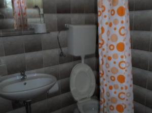 a small bathroom with a toilet and a sink at Apartments Miki Rogoznica in Podglavica +17 photos
