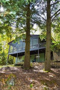 Zahrada ubytování White Mountain Lodge!