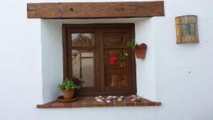 a window of a house with a potted plant and a door at Casa Entre Armonías in Zahara de los Atunes