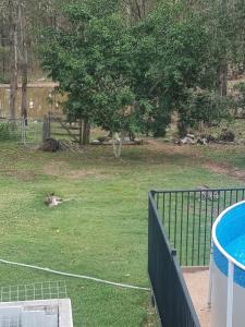 Bazén v ubytování Ensuited Queen bedroom nebo v jeho okolí