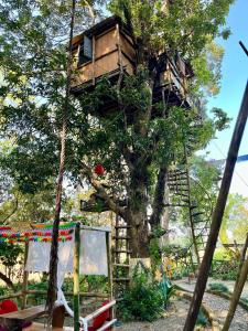a tree house in a tree with a ladder at Pemsee's Tree Town - Eco Treehouse Hostel in Sauraha