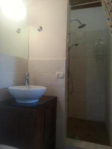 Un baño con lavabo y ducha en Agritourismus Vigne Di Pace, en Umbertide