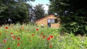 Een tuin van De Horizon, slapen in hutten