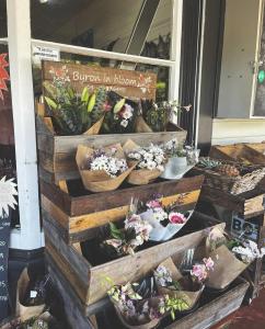 Gallery image of Villa Saint George Byron Hinterland in Clunes