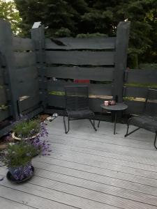 a patio with two chairs and a table and flowers at Bungalow am Silbersee in Kittlitz