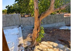 Fotografie z fotogalerie ubytování Koe Koe Villa v Nembrale