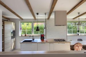 a kitchen with white cabinets and two windows at Villa Nikolina in Šišan +28 photos