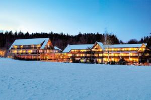 Gallery image of Hotel Grüner Wald in Freudenstadt