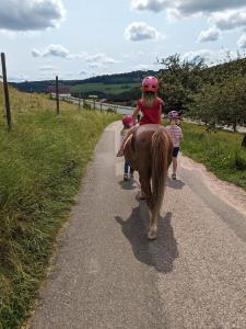 Jízda na koni v apartmánu nebo okolí + 9 fotografií