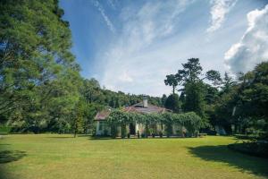una casa en medio de un campo de hierba en Craigbank Nuwaraeliya, en Nuwara Eliya