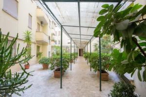 Vườn quanh Luxury House Vaticano