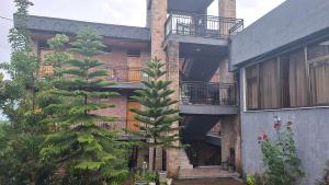 拉利贝拉Mount Olive Hotel Laibela的树在建筑物前长大