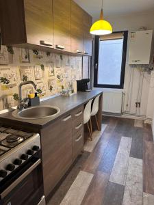 una cucina con un lavello e un piano di lavoro di Medusa Gold Studio a Târgu-Mureş