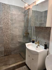 a bathroom with a sink and a shower at Medusa Gold Studio in Târgu-Mureş