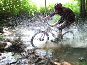 Khách lưu trú tại Vakantiehuis Zeeduinenbos +10 ảnh