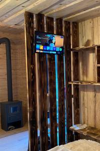 a television on top of a wooden wall in a room at Будиночок між річками Гирло in Iltsi