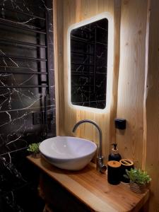 a bathroom with a bowl sink on a wooden counter at Будиночок між річками Гирло in Iltsi