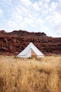 Природа в окрестностях люкс-шатра