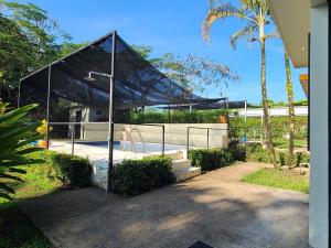 Κήπος έξω από το Pura Vida - Villa Lisa