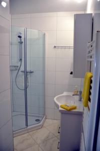 W łazience znajduje się prysznic ze szklanymi drzwiami. w obiekcie Seeappartement Ingrid w mieście Bodensdorf
