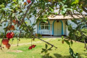 兰佩杜萨bolinajazz的院子内有蓝色门的小房子