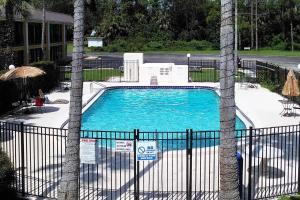 a swimming pool with a fence and two palm trees at Econo Lodge Ormond Beach North - Daytona in Ormond Beach +21 photos