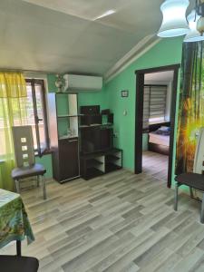 a living room with green walls and wooden floors at Апартамент за гости"Вълчанови" in Elkhovo