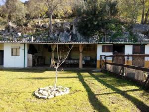 a small tree in a yard in front of a house at Alojamiento Rural Manantial de los Cañitos in El Bosque