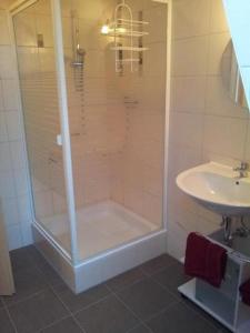 a bathroom with a shower and a sink at Reiterstübchen in Kuchelmiß