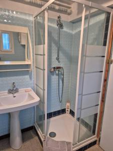 ein Badezimmer mit Dusche und Waschbecken in der Unterkunft Charmant studio centre village in Gréoux-les-Bains