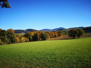 a green field with autumn trees in the background at Ferienwohnung am Kreuzfelsen in Bestwig