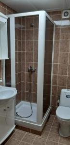 ein Badezimmer mit Dusche, Toilette und Waschbecken in der Unterkunft Vila Mir in Vrnjačka Banja