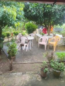 Zahrada ubytování Buddhanagar Homestay