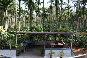 a garden with palm trees in the background at South point in Ammatti +25 photos
