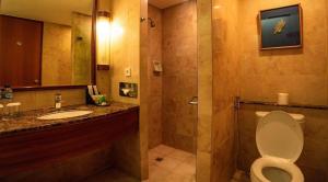a bathroom with a toilet and a sink and a mirror at Hotel Radhe in New Delhi