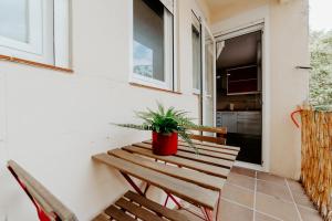 eine Topfpflanze, die auf einer Bank auf einer Veranda sitzt in der Unterkunft Living Logroño in Logroño