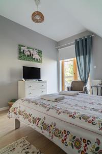 a bedroom with a bed and a tv and a window at Hajnica GórSki in Wisła