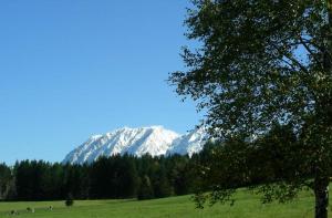 Příroda nedaleko apartmánu