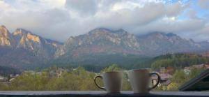 Nespecifikovaný výhled na hory nebo výhled na hory při pohledu z apartmánu