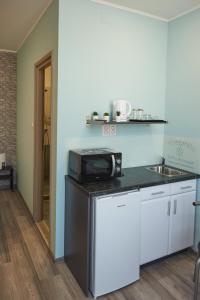 a kitchen with a sink and a microwave at Margaréta Studió Apartman in Pusztavacs